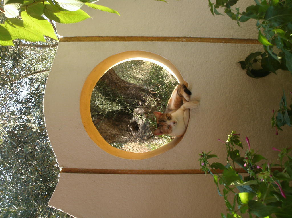 Athina Aparthotel Kavos Exterior photo